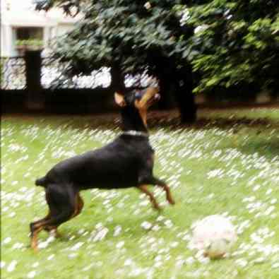 08