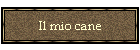 Il mio cane