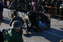 BM.Carnevale 2013 (154)