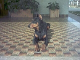 Taira-2003 (24)