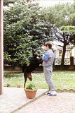 Taira-94 (13)