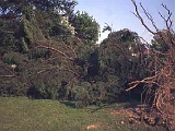 Giardino-2001 (11)