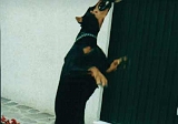 Giardino-2001 (12)