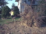 Giardino-2001 (14)