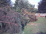 Giardino-2001 (16)