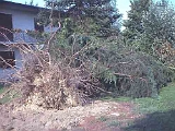 Giardino-2001 (2)
