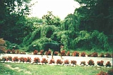 Giardino-2001 (21)