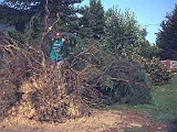 Giardino-2001 (6)