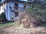Giardino-2001 (8)