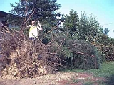 Giardino-2001 (9)