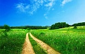 Sfondi--BMWeb (109)