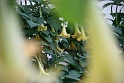 Sfondi--BMWeb (161)