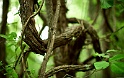 Sfondi--BMWeb (32)