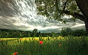 Sfondi--BMWeb (42)