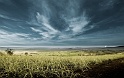 Sfondi--BMWeb (50)