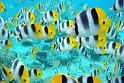 Sfondi--BMWeb (69)