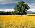 Sfondi--BMWeb (91)