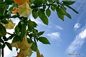Sfondo-2.14 (13)
