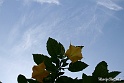Sfondo-2.14 (3)
