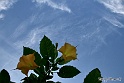 Sfondo-2.14 (5)