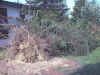 01.jpg (22364 byte)