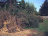 02.jpg (19756 byte)