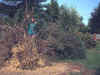 03.jpg (21122 byte)