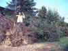 06.jpg (25591 byte)