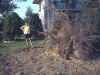 10.jpg (21122 byte)
