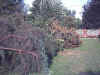 12.jpg (21854 byte)