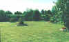 1.d.jpg (13149 byte)