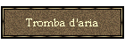 Tromba d'aria