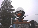 Carnevale-2002 (41)