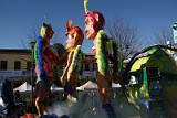 Carnevale 2014 (215)