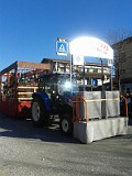 Carnevale 2014 (31)