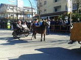 Carnevale 2014 (6)