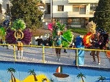 Carnevale15 (139)