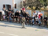 Carnevale15 (41)