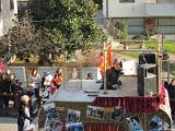 Carnevale15 (43)
