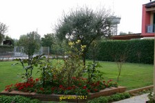Datura-5-10-12 (24).jpg